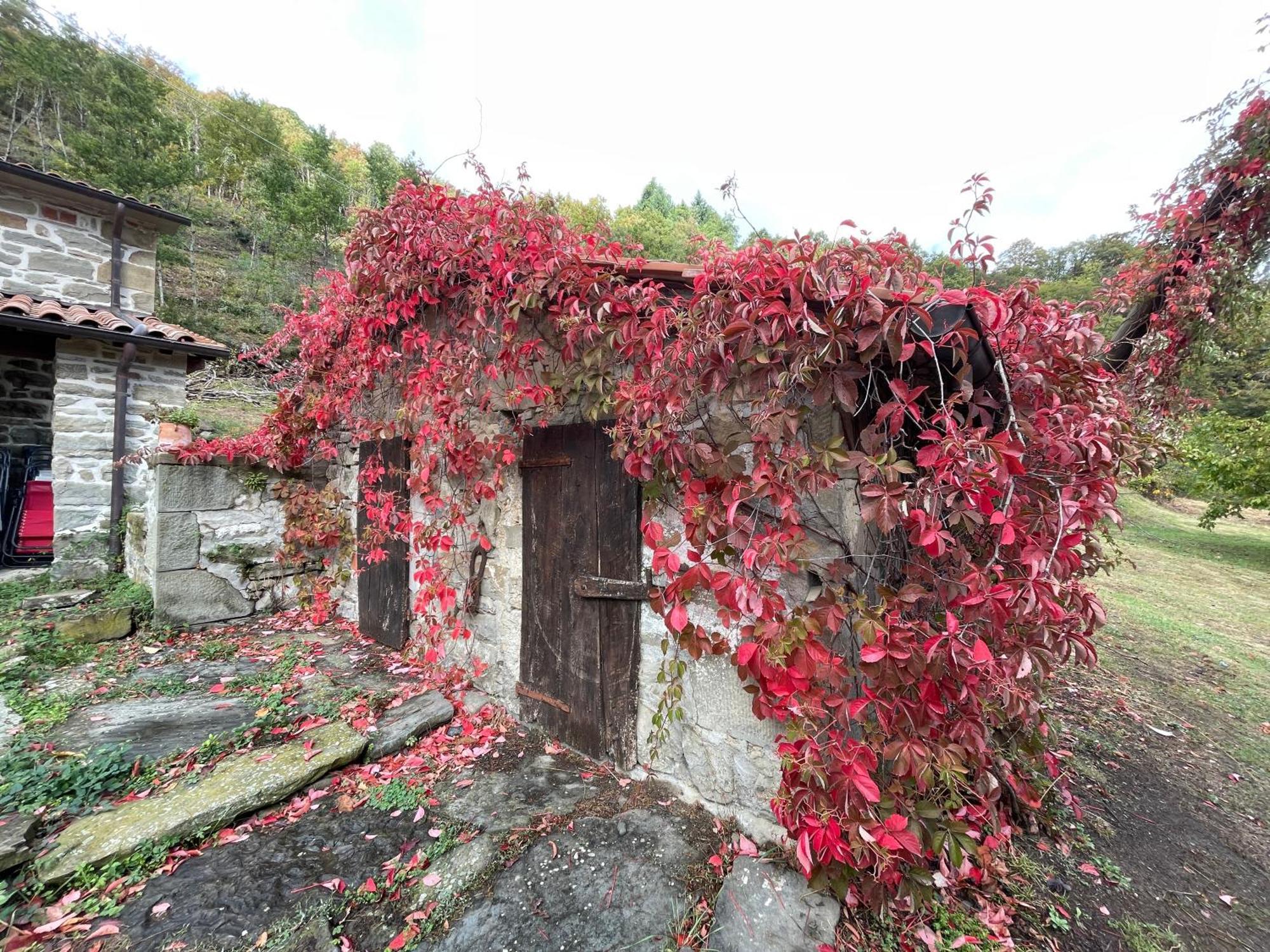 Bio Agriturismo Il Vigno Caprese Michelangelo Exterior foto